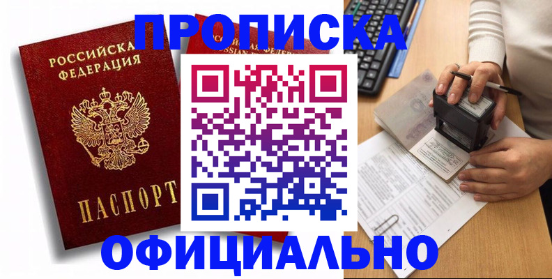 прописка в квартире в Шагонаре
